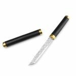 (D89) Der magische Medizinpinsel ist ein großartiges Damastmesser mit fester Klinge